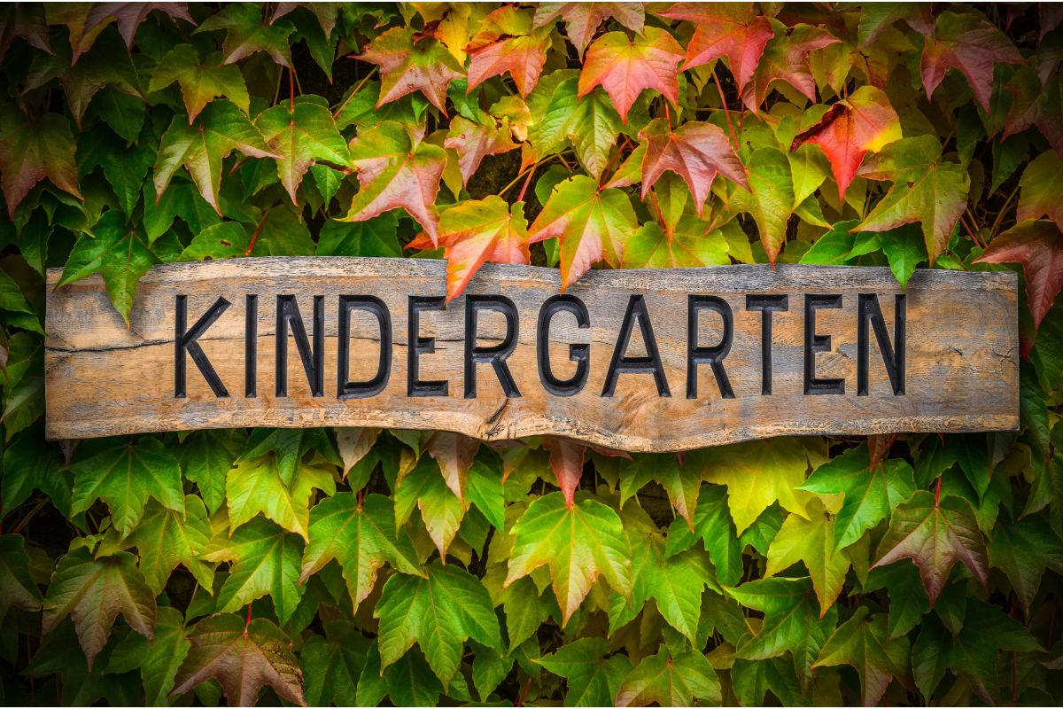 Kindergartens without the walls - Forest Kindergartens