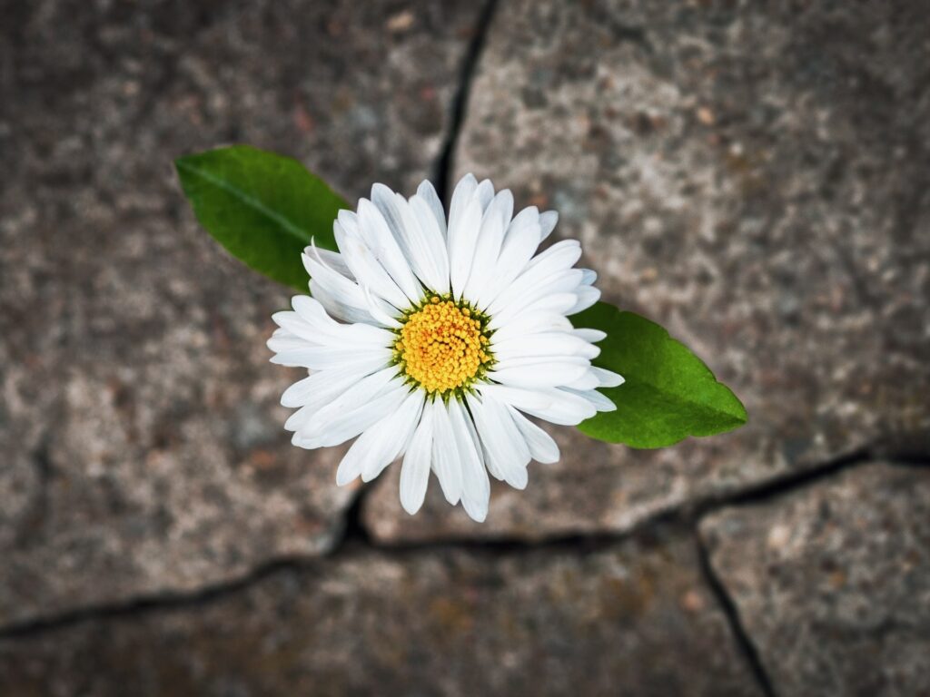 the-benefits-of-child-led-activities-in-early-years-kindergartens