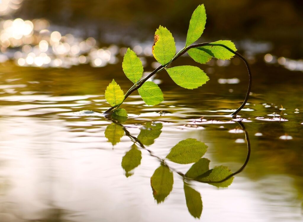 Love despite the struggles, setbacks, and pain.